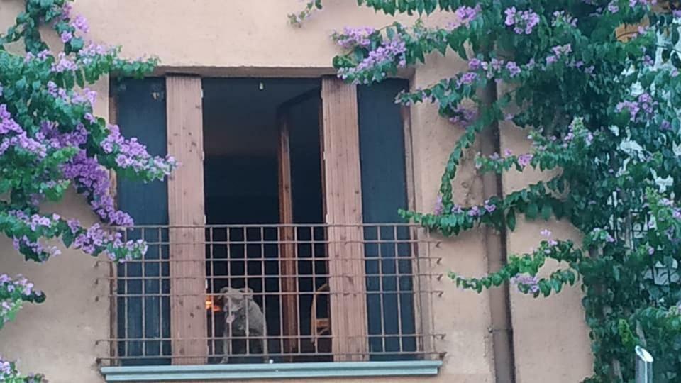 Holiday House Camillina سالو المظهر الخارجي الصورة